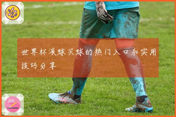 世界杯滚球买球的热门入口和实用技巧分享