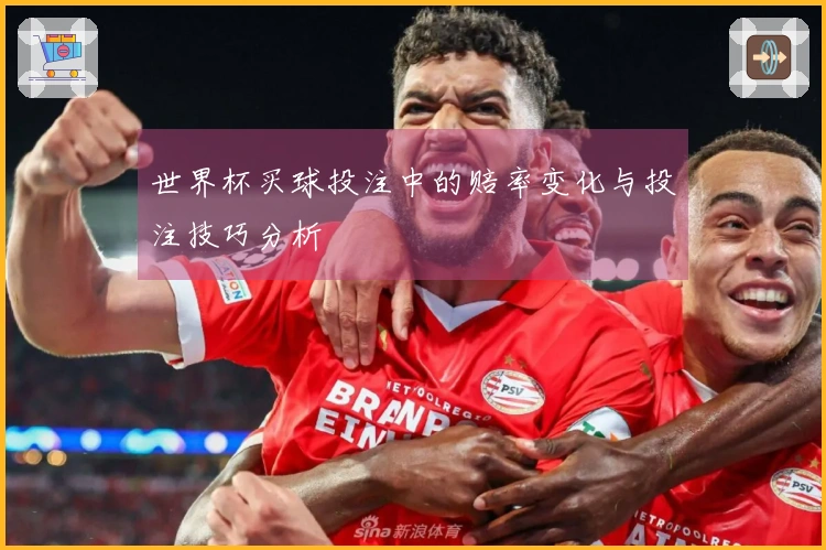 世界杯买球投注中的赔率变化与投注技巧分析