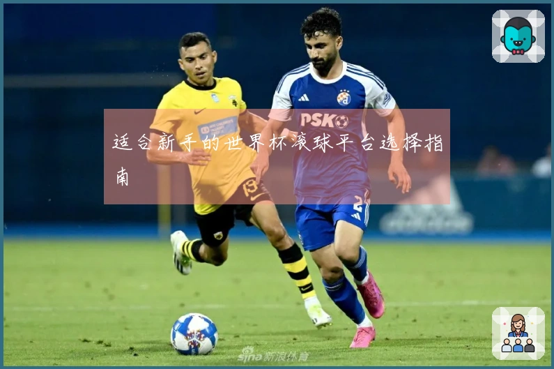 适合新手的世界杯滚球平台选择指南