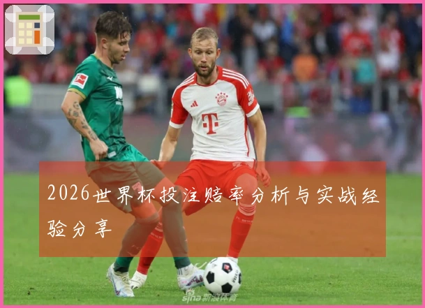2026世界杯投注赔率分析与实战经验分享