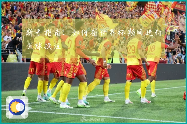 新手指南：如何在世界杯期间进行买球投注