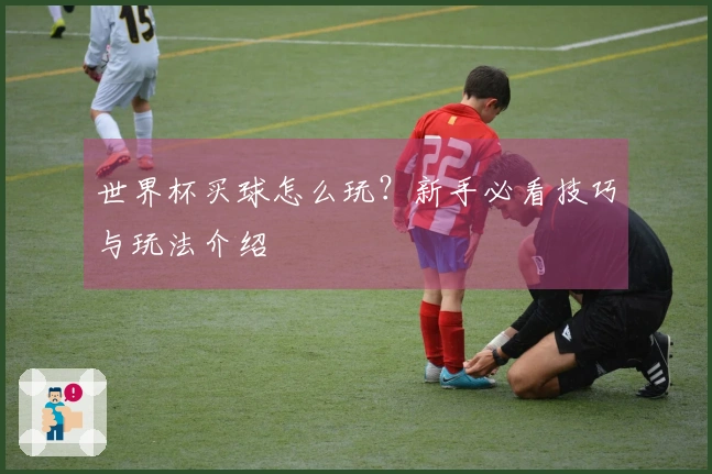 世界杯买球怎么玩？新手必看技巧与玩法介绍