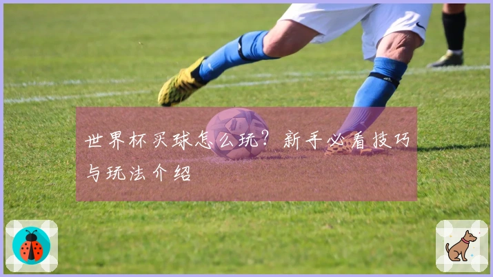 世界杯买球怎么玩？新手必看技巧与玩法介绍