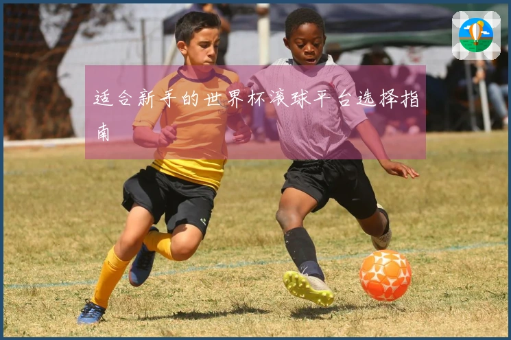适合新手的世界杯滚球平台选择指南