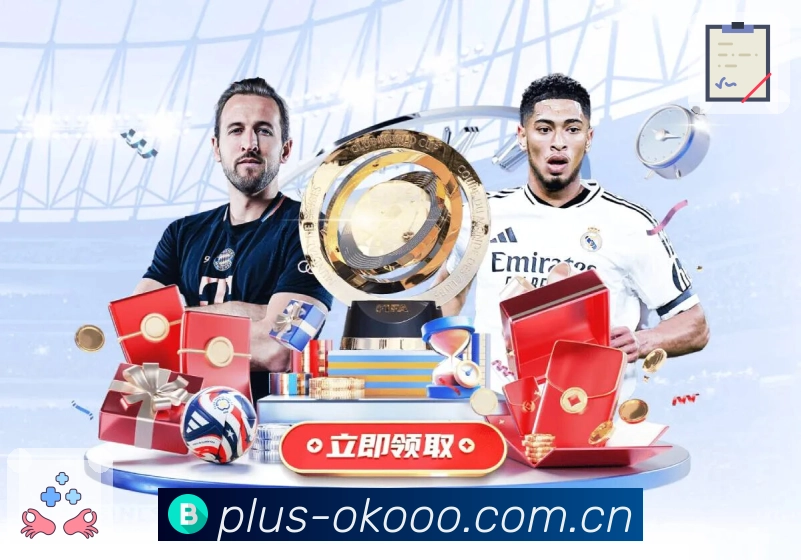 内容与工具一体展示